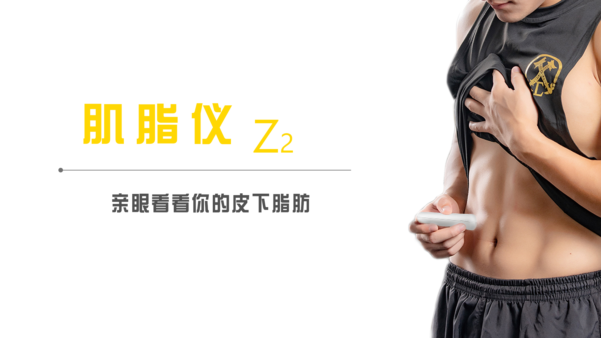 Z2主图中文